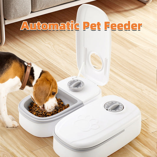 Anatha pet feeder automatic cat in white with dual compartments and a dog eating from it